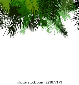 Palm leaves hanging from up. Vector