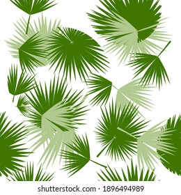 Palm leaves have a seamless background. Vector illustration