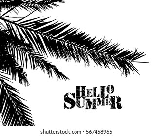 palm leaves hello summer. Vector