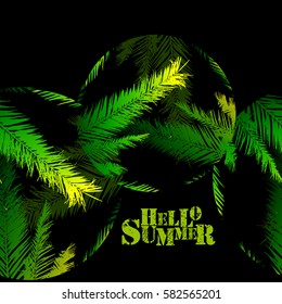 palm leaves hello summer. Vector