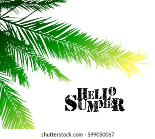 palm leaves hello summer. Vector