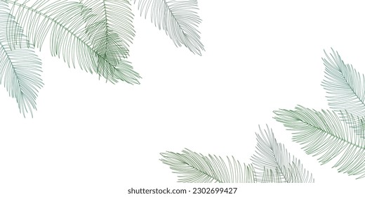 Palm Leaves Hot Weather Leaves Background