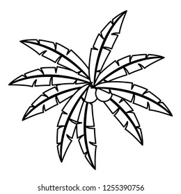 palm leaves icon