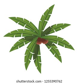palm leaves icon
