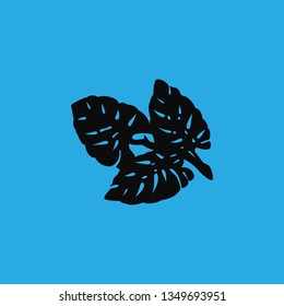 palm leaves icon vector