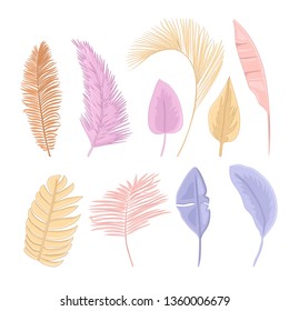 Palm leaves isolated on white background. Tropical leaves pastel collection.