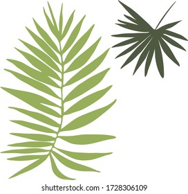 Palm leaves isolated on a white background. Vector graphics. Silhouette.