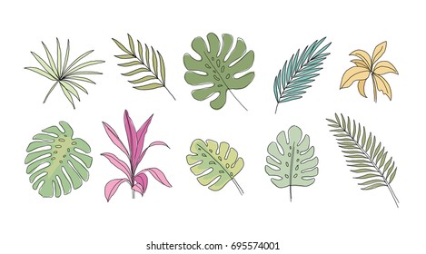 Palm leaves isolated on white background. Hand drawn vector illustration. Tropical print.