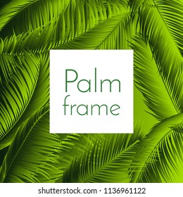 Palm Leaves Isolated. Realistic Branches Set. Vector Tropical Foliage. Floral Elements. Illustration of Jungle Plants. Tropic Palm Leaves for Pattern, Wallpaper, Print, Fabric, Textile or Your Design.