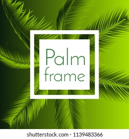 Palm Leaves Isolated. Realistic Branches Set. Vector Tropical Foliage. Floral Elements. Illustration of Jungle Plants. Tropic Palm Leaves for Pattern, Wallpaper, Print, Fabric, Textile or Your Design.