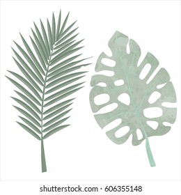 PALM LEAVES ISOLATED WITH WATERCOLOR EFFECT