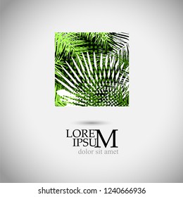 Palm leaves logo. Vector
