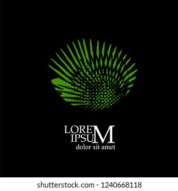 Palm leaves logo. Vector