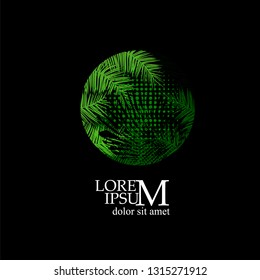 Palm leaves logo. Vector