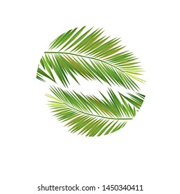 Palm leaves logo. Vector illustration