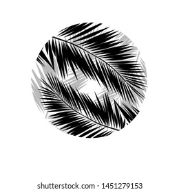 Palm leaves logo. Vector illustration