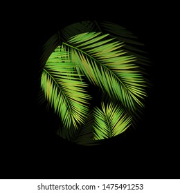 Palm leaves logo. Vector illustration
