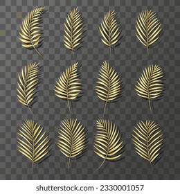 Palm leaves made of gold. Set of golden tropical leaves on a transparent background. Vector illustration.