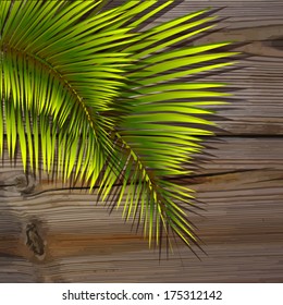 Palm leaves no wooden board. Vector