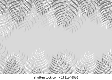 Palm leaves on a gray background. Template for presentation, invitation, flyer, banner, poster and postcard. Vector.