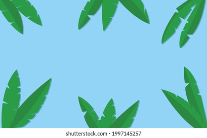 palm leaves on light blue background
