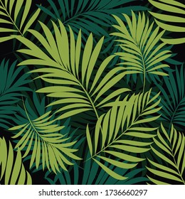 Palm leaves on a tropical background. Tropical seamless background pattern. Graphic design with amazing palm trees suitable for fabrics, packaging, magazine covers.