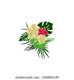 Palm leaves on a white background, palm flowers