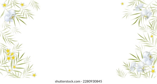 Palm leaves on a white background. Green foliage. Tropical background.