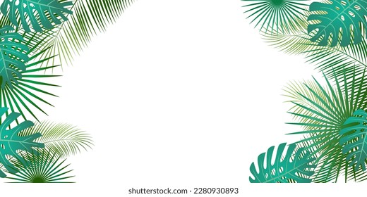 Palm leaves on a white background. Green foliage. Tropical background.