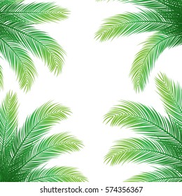 Palm Leaves on White Background | Holiday Vector Design