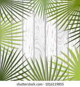 palm leaves on white wooden boards pattern