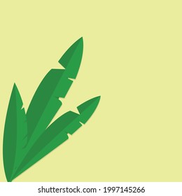 palm leaves on yellow background