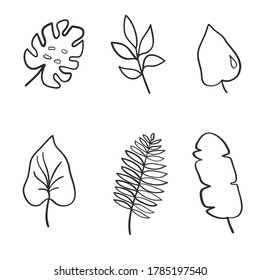 Palm leaves outlinen set. Hand-drawn tropical leaves.
