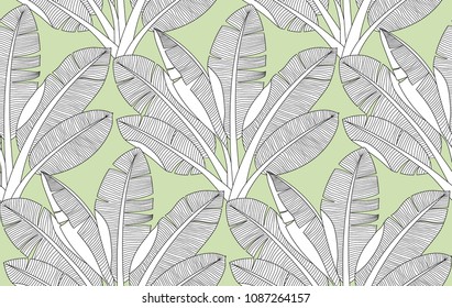 Palm leaves pattern. Banana leaf tree vector seamless background,