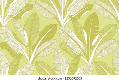 Palm leaves pattern. Exotic palms tree leaf  vector seamless wallpaper. Botanical illustration.