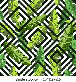 Palm leaves pattern. Seamless pattern with banana palm tree green leaces and geometric stripes in black and white. Tropical floral print. Summer vector background.