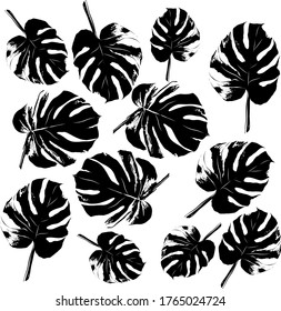 patrón de hojas de palma conjunto ilustración vectorial en blanco y negro