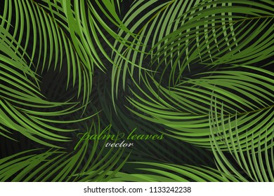Palm leaves scene vector wallpaper nature backgrounds