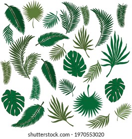 palm leaves, seamless background with leaves, palm leaves pattern, set of palm leaves	