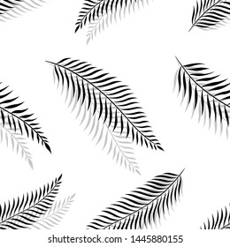Palm leaves seamless pattern. Black on white background. Vector illustration background. For print, textile, web, home decor, fashion, surface, graphic design