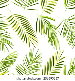 Palm leaves seamless vector background.