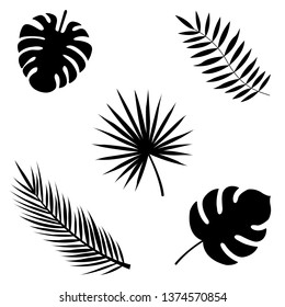 Palm Leaves Set. Banana, Coconut, Date Palm Leaves Icon, Logo Isolated On White