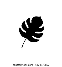 Palm leaves set. Banana, coconut, date palm leaves icon, logo isolated on white