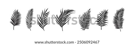 palm leaves set of black silhouette design 