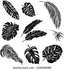 palm leaves set black and white