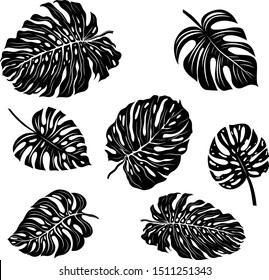 palm leaves set black and white