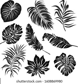 palm leaves set black and white