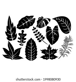 ilustración de vector blanco y negro de hojas de palma