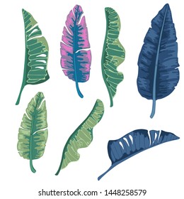 palm leaves set isolated on dark background vector, cartoon style