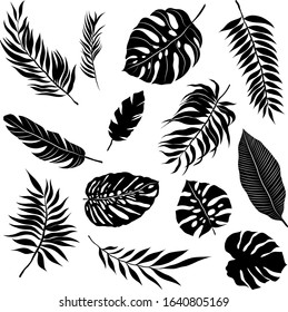 palm leaves set pattern black and white vector